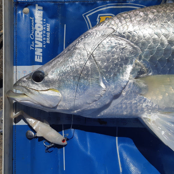 MID WINTER BARRAMUNDI SESSIONS