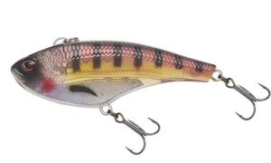 NOMAD SWIMTREX 80SW TG