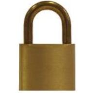 PADLOCK ALL BRASS 45MM