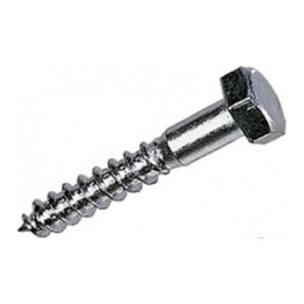 M10 X 40 HEX COACH SCREW S/S G316