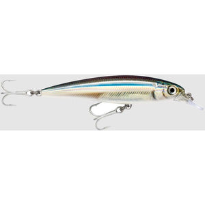 RAPALA X-RAP SALTWATER 10CM ANC