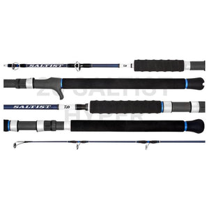 ROD DAIWA SALTIST HYPER 6'4 PE2-4